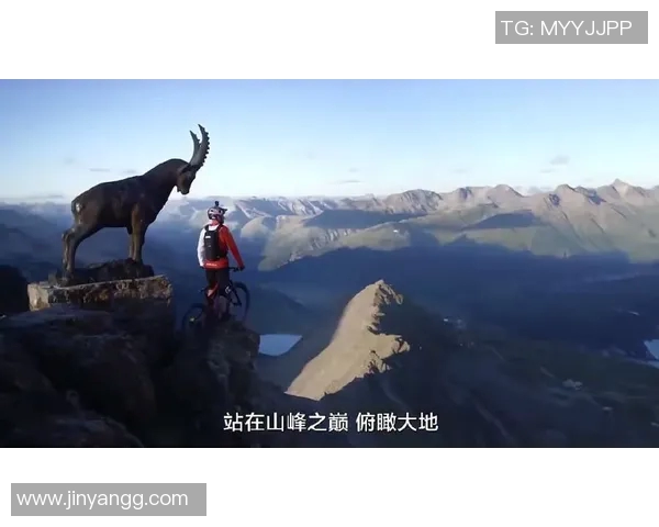 赛而维亚与瑞士激战正酣谁能在这场较量中笑到最后